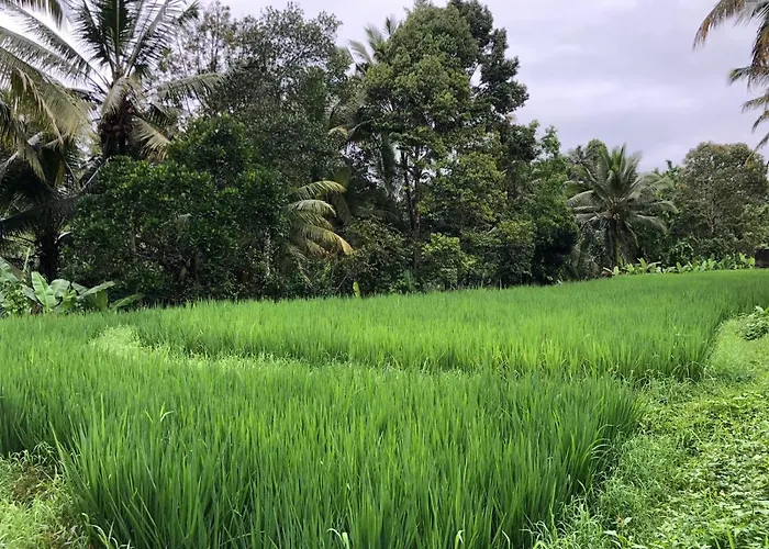 Titian Dewi Private Ubud - Close To Cretya Day Club Villa *